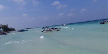 Air laut di Tepi Pantai Maratua berwarna Tosca dan menyenangkan dilihat. (dok: Sirana.id)