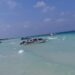 Air laut di Tepi Pantai Maratua berwarna Tosca dan menyenangkan dilihat. (dok: Sirana.id)