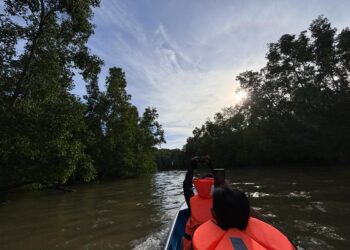 Pohon mangrove yang mengapit menuju pulau-pulau di Delta Mahakam. (Dok: Sirana)
