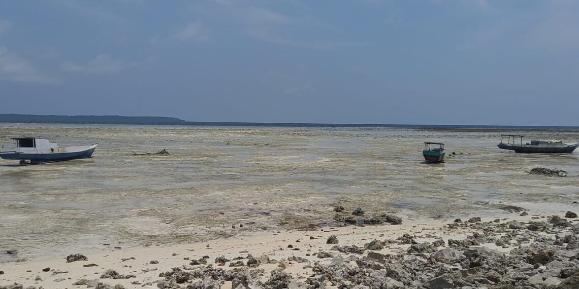 Wilayah Pesisir Maratua (dok: Sirana)