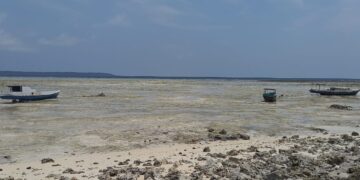 Wilayah Pesisir Maratua (dok: Sirana)