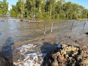 Perairan penyangga Delta Maahakam di Muara Badak (dok:Sirana)