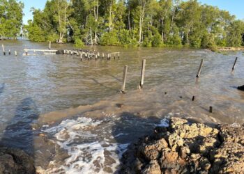 Perairan penyangga Delta Maahakam di Muara Badak (dok:Sirana)