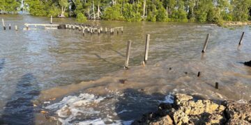 Perairan penyangga Delta Maahakam di Muara Badak (dok:Sirana)