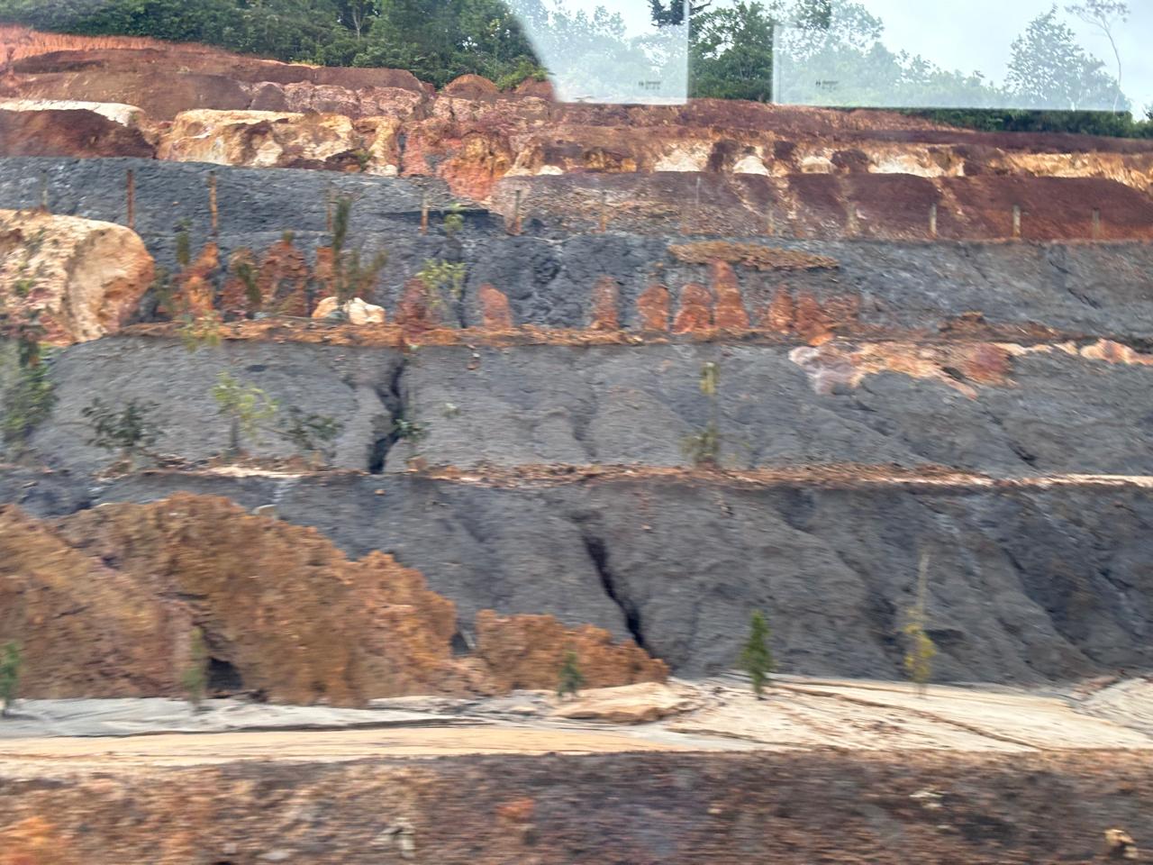 Pembukaan lahan di wilayah Kalimantan Timur (Sirana.id)