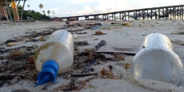 ilustrasi sampah di pesisir Kalimantan Timur (Sirana.id)