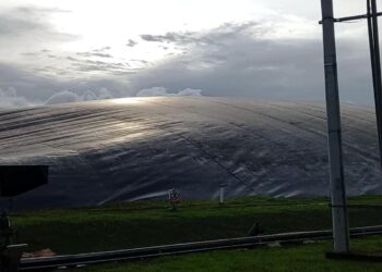 ilustrasi pembangkit listrik dari limbah sawit di kembang janggut (sirana.id)