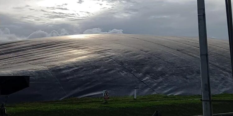 ilustrasi pembangkit listrik dari limbah sawit di kembang janggut (sirana.id)