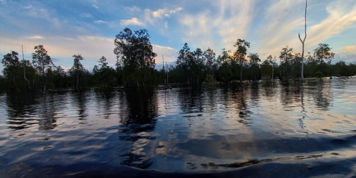 Pohon Kahoi dan Danau Siran (Sirana.id)