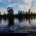 Pohon Kahoi dan Danau Siran (Sirana.id)