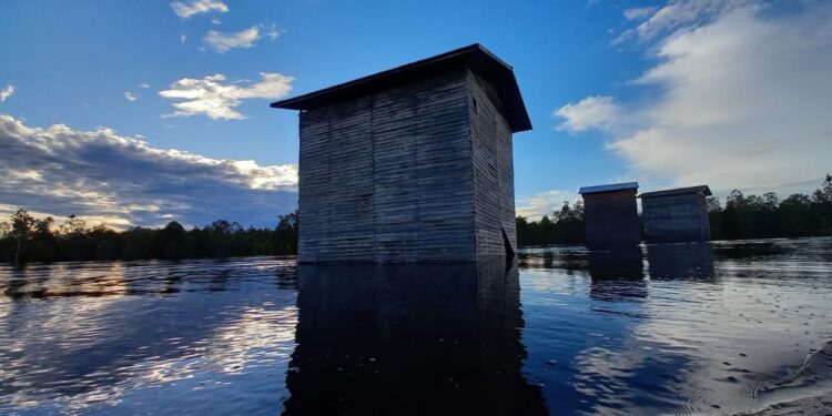 ilustrasi sarang walet di Desa Muara Siran