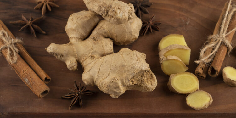ilustrasi jahe (freepik)
