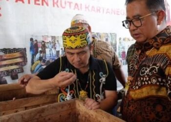 Pj Gubernur Kaltim saat mengunjungi Lung Anai