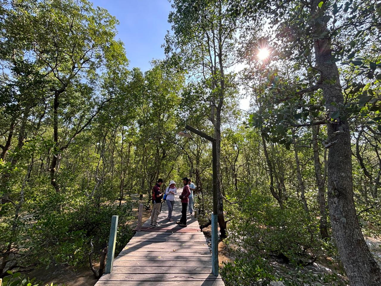 Mangrove, habitat bekantan (foto: Nofiyatul Chalimah)