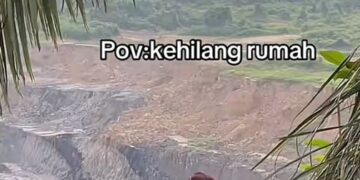 orangutan yang kehilangan rumahnya di lokasi operasional KPC /tiktok irong