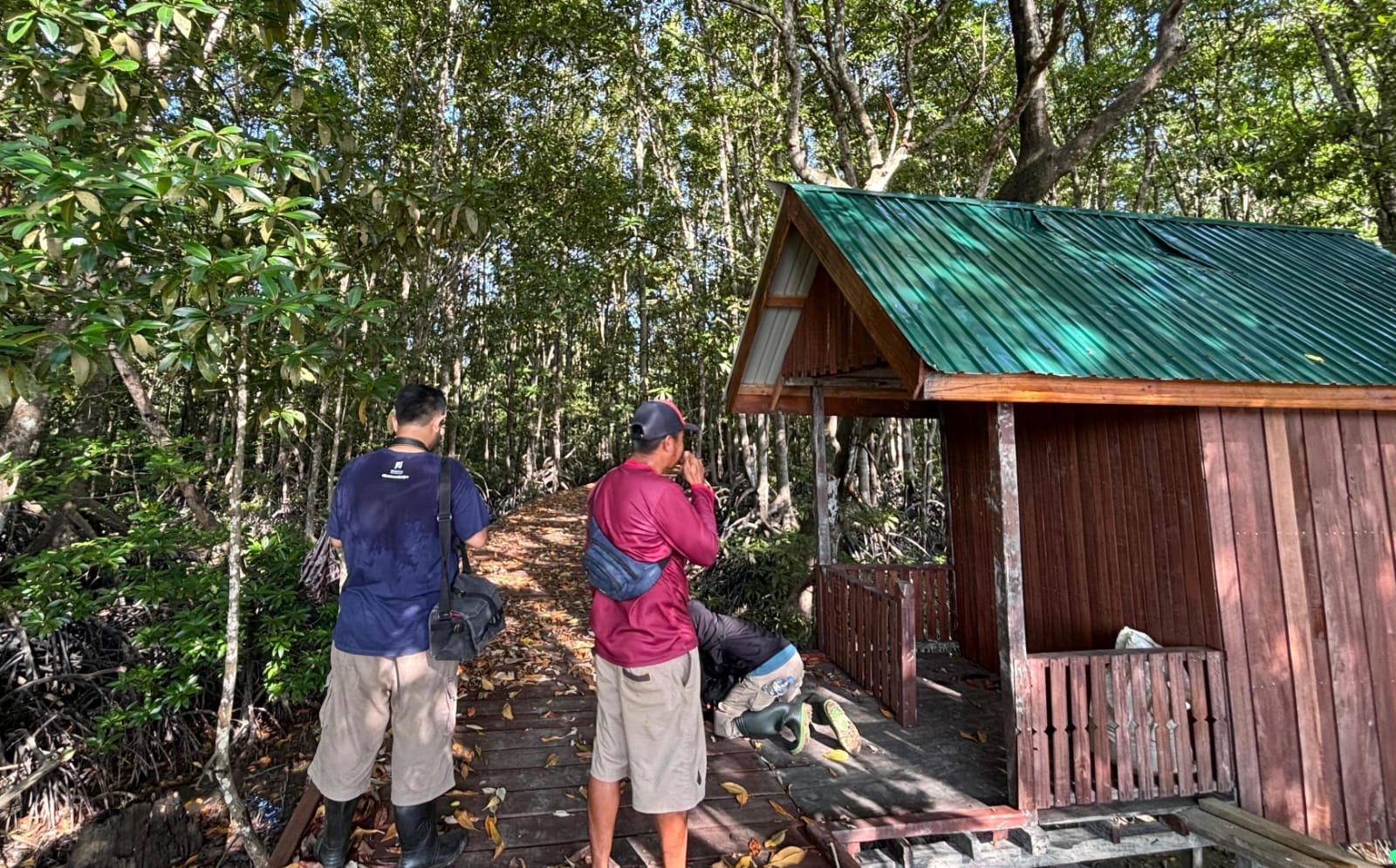 Jembatan wisata yang dibangun untuk mengamati mangrove (sirana.id)