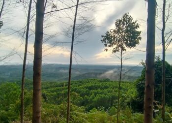 Gunung Angin di Sebulu, Kutai Kartanegara (Foto: Muhammad Rosyid)