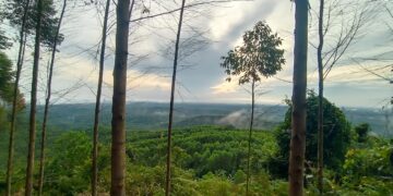 Gunung Angin di Sebulu, Kutai Kartanegara (Foto: Muhammad Rosyid)