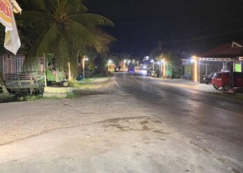 (Pemasangan Lampu Penerangan Jalan/Istimewa)