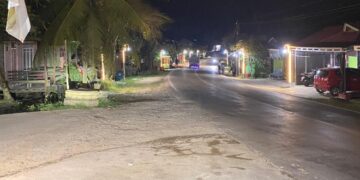 (Pemasangan Lampu Penerangan Jalan/Istimewa)