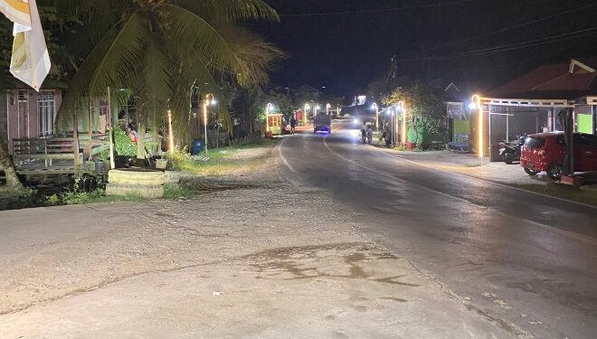 (Pemasangan Lampu Penerangan Jalan/Istimewa)