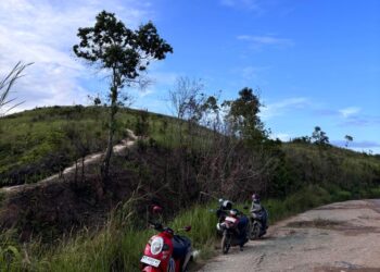 Pemandangan bukit teletubbies di Bantuas (sirana.id)