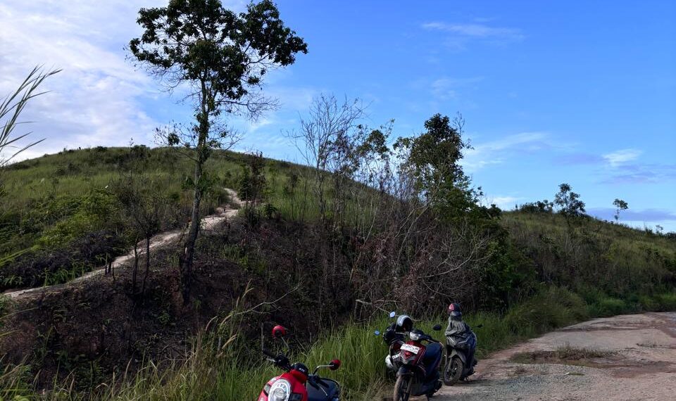 Pemandangan bukit teletubbies di Bantuas (sirana.id)