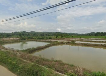 areal pertanian di Jalan Bangun Sari, Loh Sumber