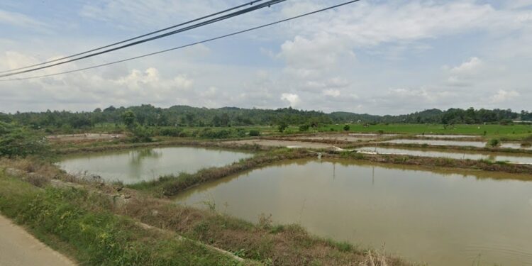 areal pertanian di Jalan Bangun Sari, Loh Sumber