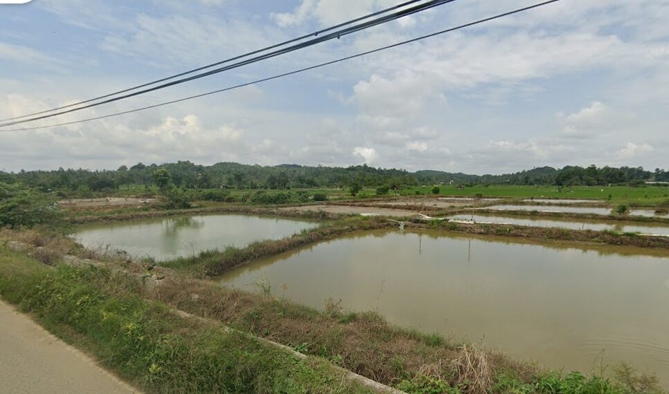 areal pertanian di Jalan Bangun Sari, Loh Sumber