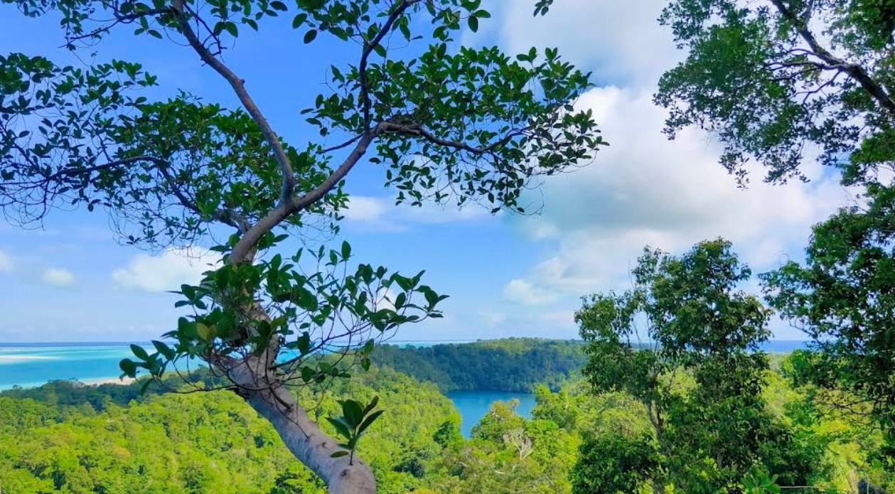 Puncak Maratua (Foto: Fadil)