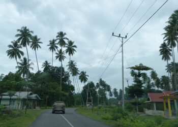 ilustrasi pesisir Biduk-Biduk Berau (foto: Nofiyatul Chalimah)