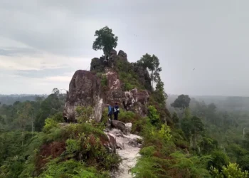 Bukit batu dinding (foto petta puang)
