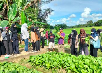 Katrol Kualitas Perhotelan Kukar, Dispar Kukar Perkuat Jejaring ke Industri Perhotelan Kalimantan Timur