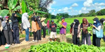 Katrol Kualitas Perhotelan Kukar, Dispar Kukar Perkuat Jejaring ke Industri Perhotelan Kalimantan Timur