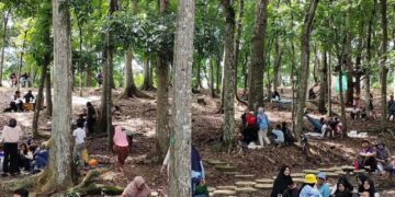 Ilustrasi destinasi wisata