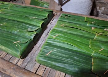 (Produksi Tempe Desa Loa Pari/Istimewa)