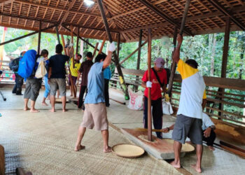 (Penumbukan padi oleh masyarakat Kedang Ipil/Istimewa)