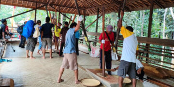 (Penumbukan padi oleh masyarakat Kedang Ipil/Istimewa)