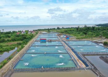 (Tambak ikan di Ponoragan/Istimewa)