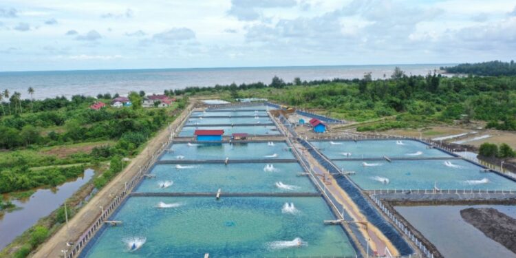 (Tambak ikan di Ponoragan/Istimewa)