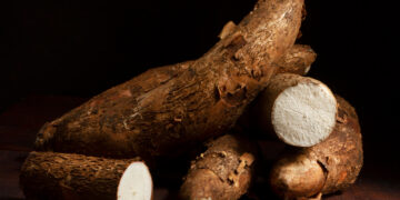 (Ilustrrasi singkong/Freepik)