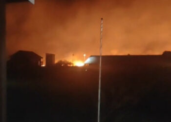 kebakaran hutan di Muara Siran beberapa waktu lalu (foto: sumber warga)