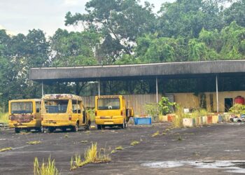 Dispar Kukar Bakal Percantik dan Buat Pulau Kumala Makin Nyaman