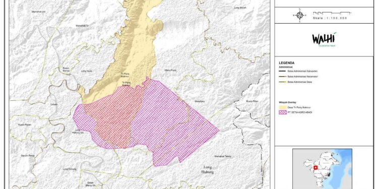 Walhi Kaltim Desak Penyelesaian Konflik Agraria Perkebunan Sawit PT SAA di Mahakam Ulu