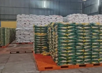 stok beras bulog Samarinda (foto: Pemprov Kaltim)