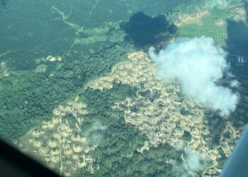 Salah satu contoh deforestasi yang ada di Kaltim/sirana.id