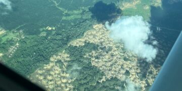 Salah satu contoh deforestasi yang ada di Kaltim/sirana.id