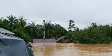 Dok: Istimewa