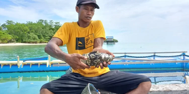 Potret Nelayan dan Salah Satu Ikan Kerapu © YLBKD/GC